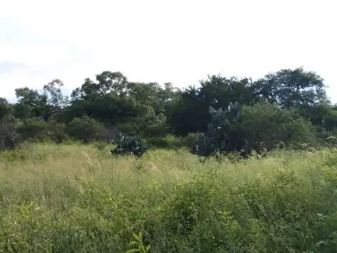 600 Has, Limite Con Catamarca