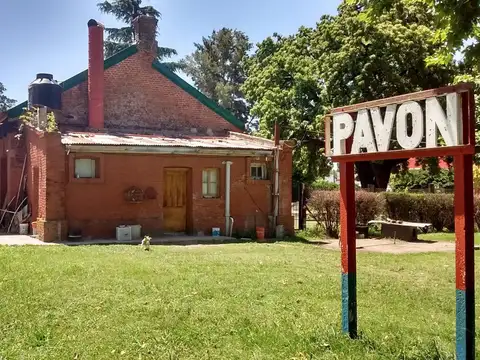 Excelente campo alquilado sobre ruta, en el Sur de Santa Fe