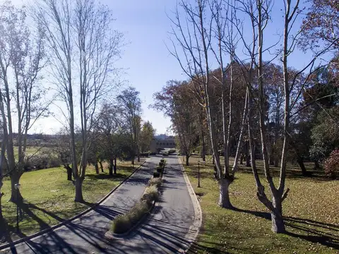 Terreno en Venta de 786,0 m2