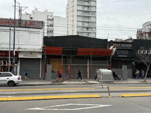 Local en Alquiler A Estrenar