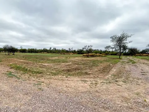 Terreno en Venta de 800,0 m2