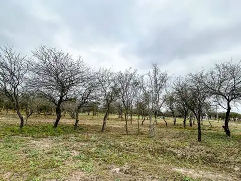 Terreno en Venta en El Puestito, USD 12.000
