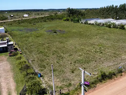 Chacra en venta en chajarí | colonia belgrano | 1 hectárea – us$40.000