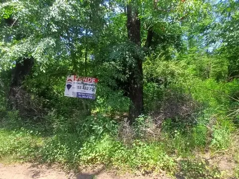 Publica S/N ( Lote 2 Mza 93