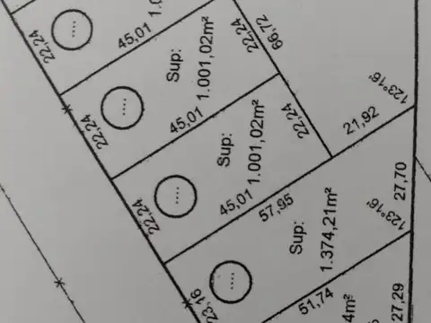 Loteo en Camino a Vuelta de Obligado, San Pedro (BA)