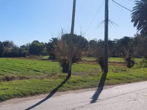 VENTA TERRENO SOBRE CAMINO SAN CARLOS