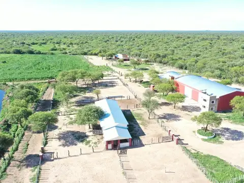 Campo 123 ha Feedlot Villa de Soto
