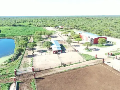 Campo Feedlot En Venta Villa De Soto