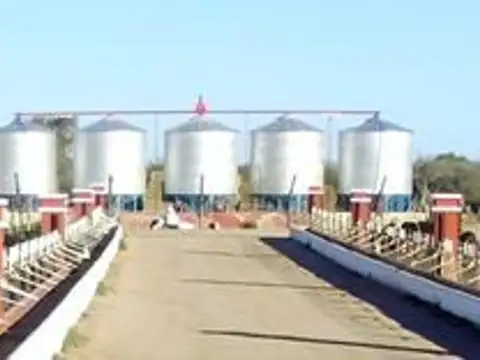 Campo 123 ha Feedlot Villa de Soto