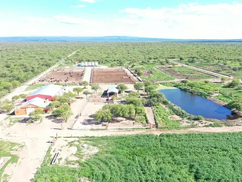 Campo Feedlot En Venta Villa De Soto