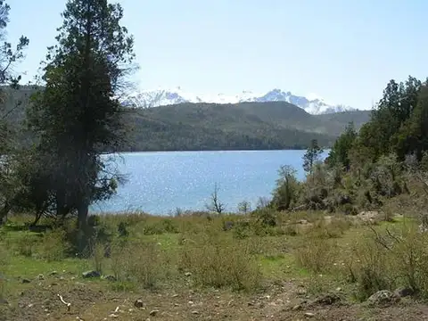 INMOBILIARIA COMODORO - Campo - Cholila