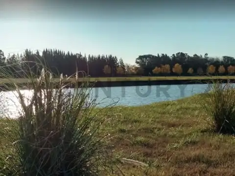 Lote en venta Brandsen