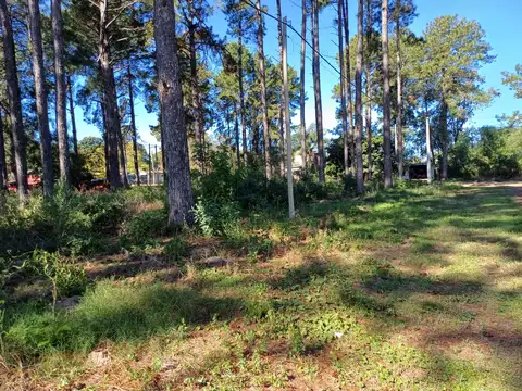Terreno en Venta 11  mts Fondo