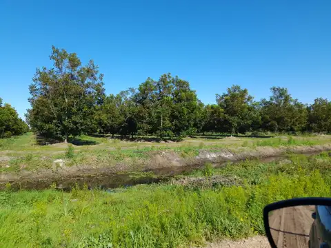 Terreno en Venta de 20000,0 m2