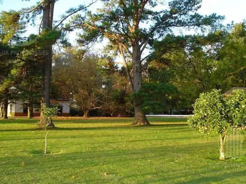 Terreno en Venta de 1300,0 m2
