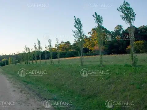 Terreno en venta Punta del Este