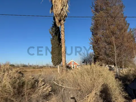 9 DE JULIO , Piso 0
