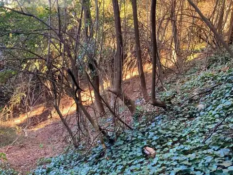 Terreno en Venta en La Cumbrecita, Calamuchita