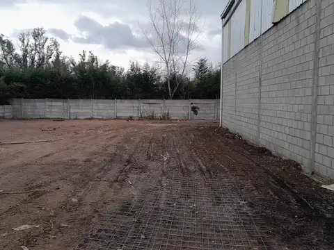 Galpon en Alquiler 200  mts Fondo