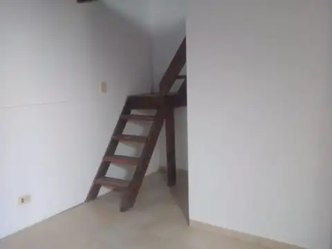 Pardo 100