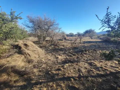 Terreno en Venta en Villa Larca, Chacabuco
