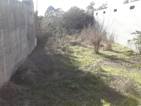 Local comercial en venta - 228 m2