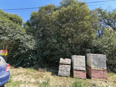Terreno en Venta 40  mts Fondo