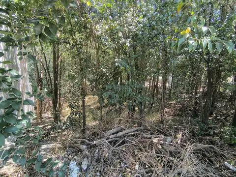 Terreno en Venta 10  mts Frente