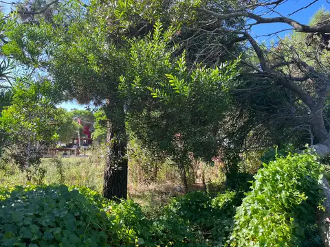 Terreno en Venta de 950,0 m2