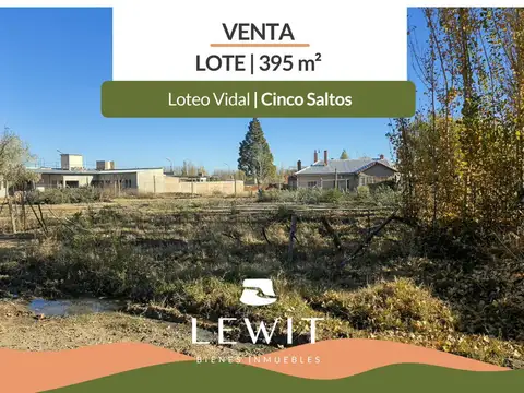 Venta Terreno en Loteo Vidal / Cinco Saltos / 395m2 en esquina