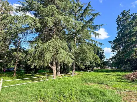 Venta Casa Quinta con Caballerizas para Desarrollo Inmobiliario