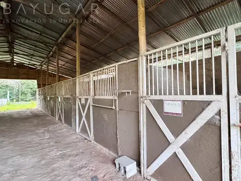 Terreno en Venta en Manzanares, USD 480.000