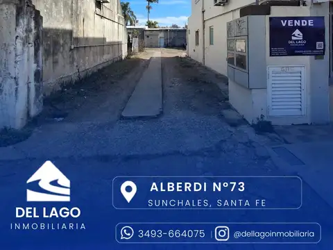 Juan Bautista Alberdi 100