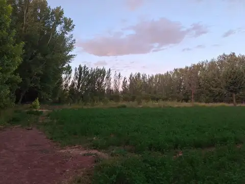 Venta 3 Hectareas en Rincón de los Sauces.
