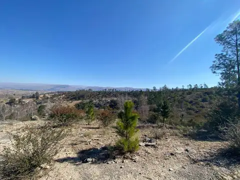 Terreno en Venta de 110000,0 m2