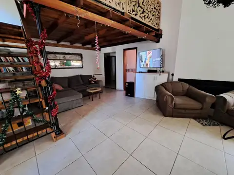 Bernardino Junco 800