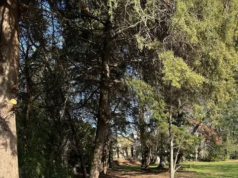 Venta Terreno / lote en  Barrio Los Fresnos, Bella Vista ( San Miguel)