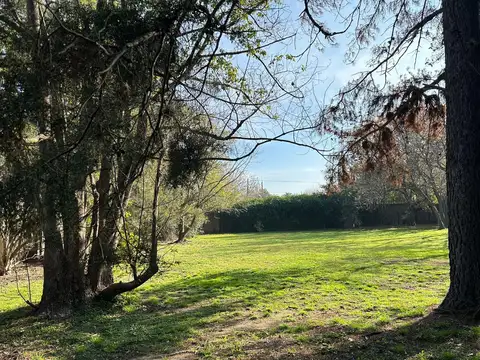 Barrio Los Fresnos