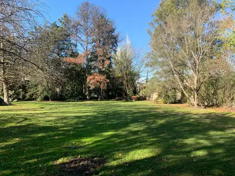 Terreno en Venta 46  mts Fondo