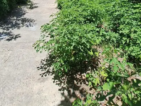 Almirante Brown al 3200