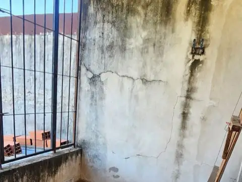Los Cedros al 2100