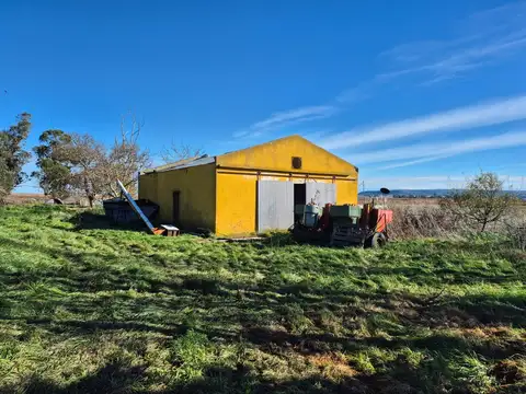 Campo en Balcarce