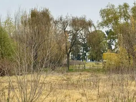 Terreno en Venta 36  mts Frente