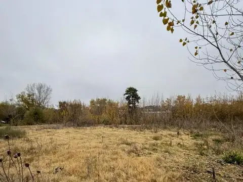 Se vende terreno listo para escriturar en San Andres de Giles.