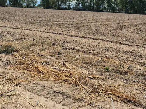 VENTA DE FINCA EN SAN CARLOS