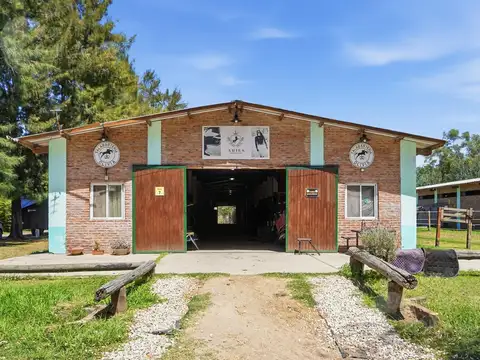 Perito Moreno al 1700