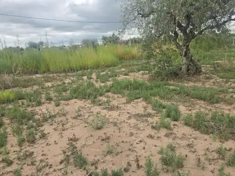 Terreno en Venta en Vistalba, USD 23.000