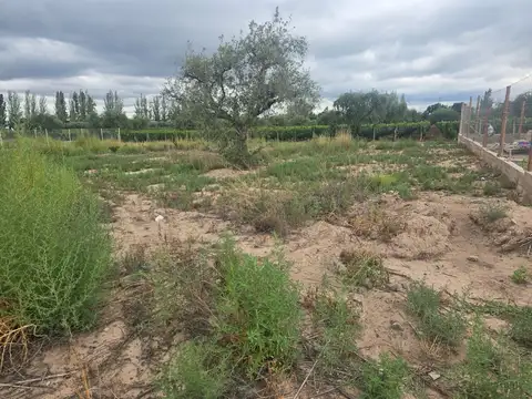 Terreno en Venta de 300,0 m2