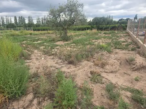 PROYECTADA N°11 LOTE 4 100