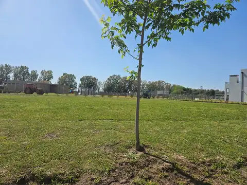 Terreno en Venta en Pilar del Este - Santa Lucia, USD 56.000